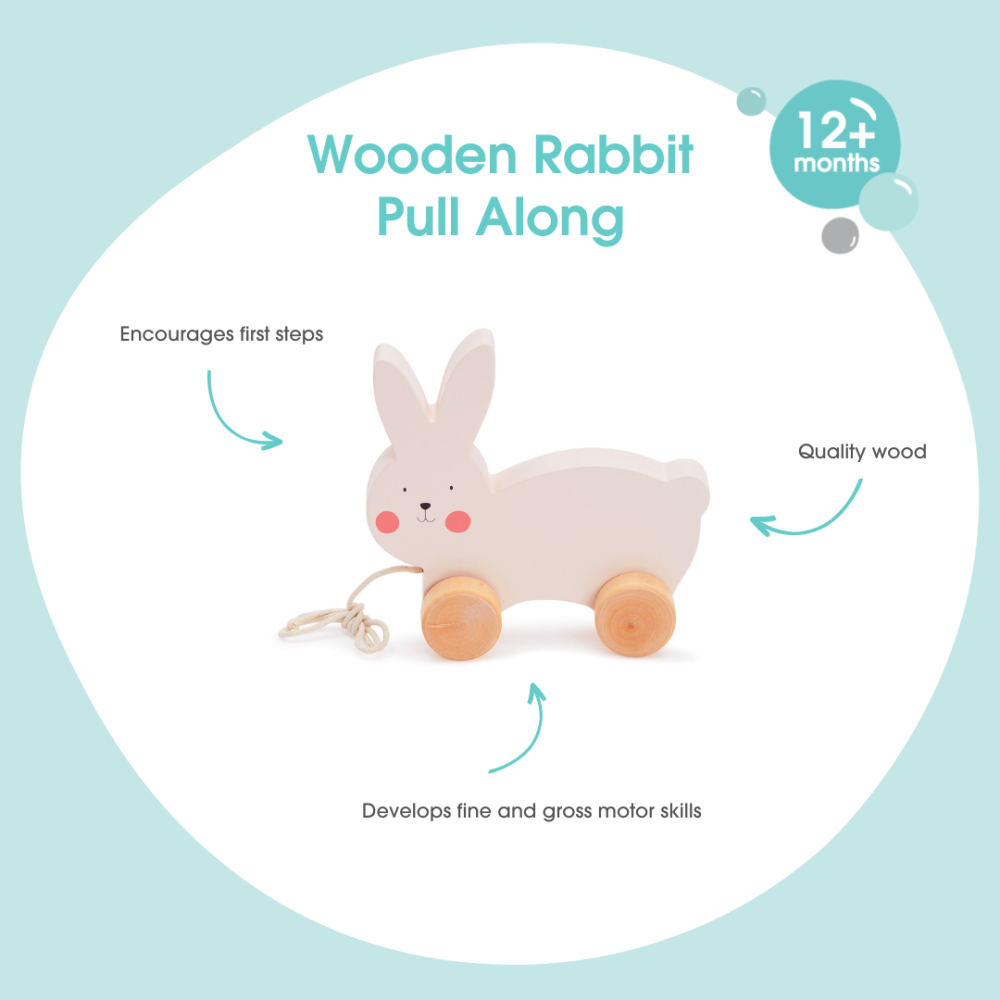 Bubble Wooden Rabbit Pull Along