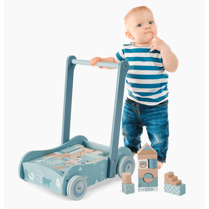 Bubble Wooden Baby Push Cart & Walker with 46 Building Blocks