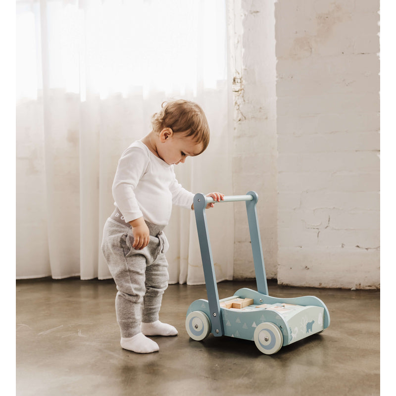 Bubble Wooden Baby Push Cart & Walker with 46 Building Blocks