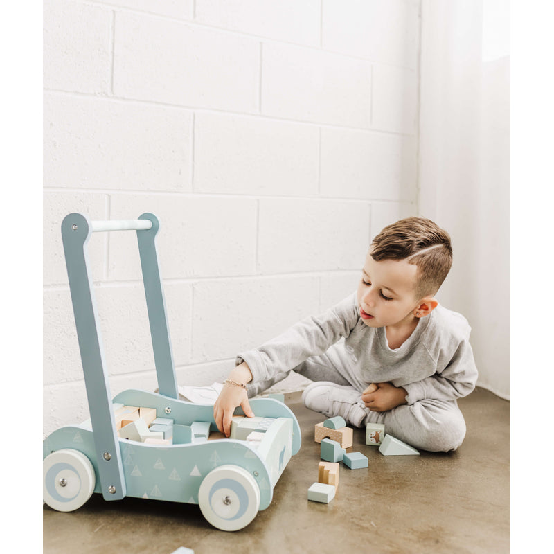 Bubble Wooden Baby Push Cart & Walker with 46 Building Blocks