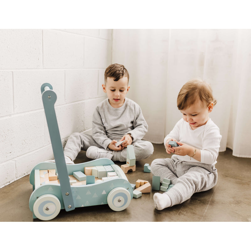 Bubble Wooden Baby Push Cart & Walker with 46 Building Blocks