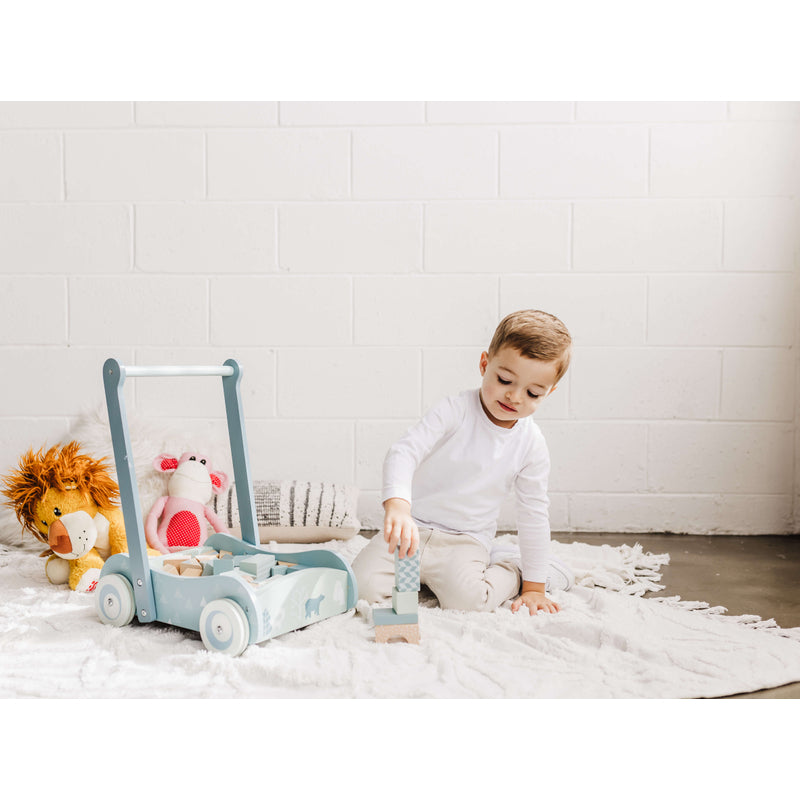 Bubble Wooden Baby Push Cart & Walker with 46 Building Blocks