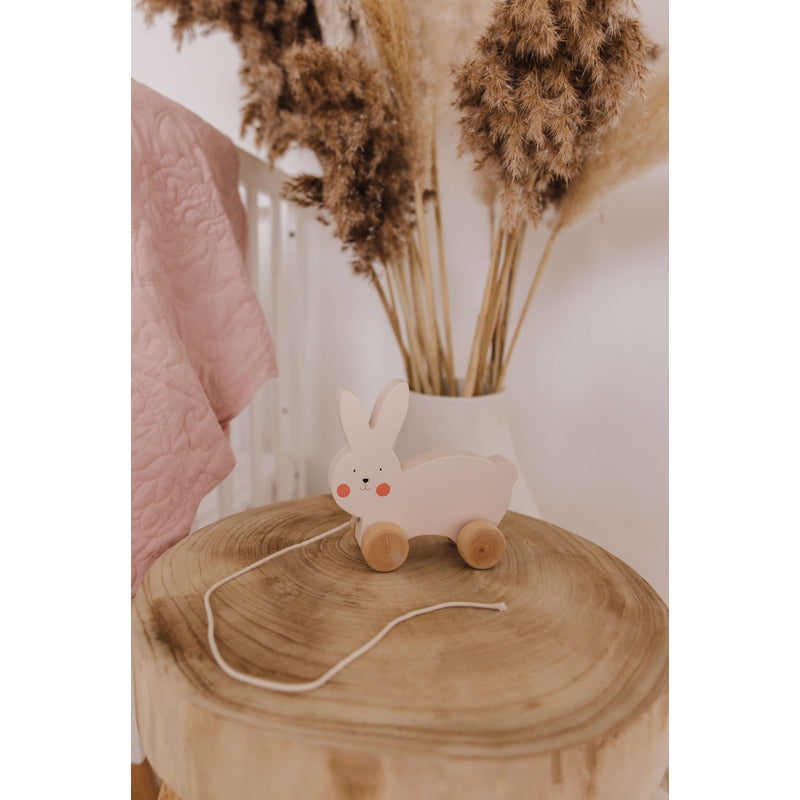 Bubble Wooden Pull Along - Rabbit