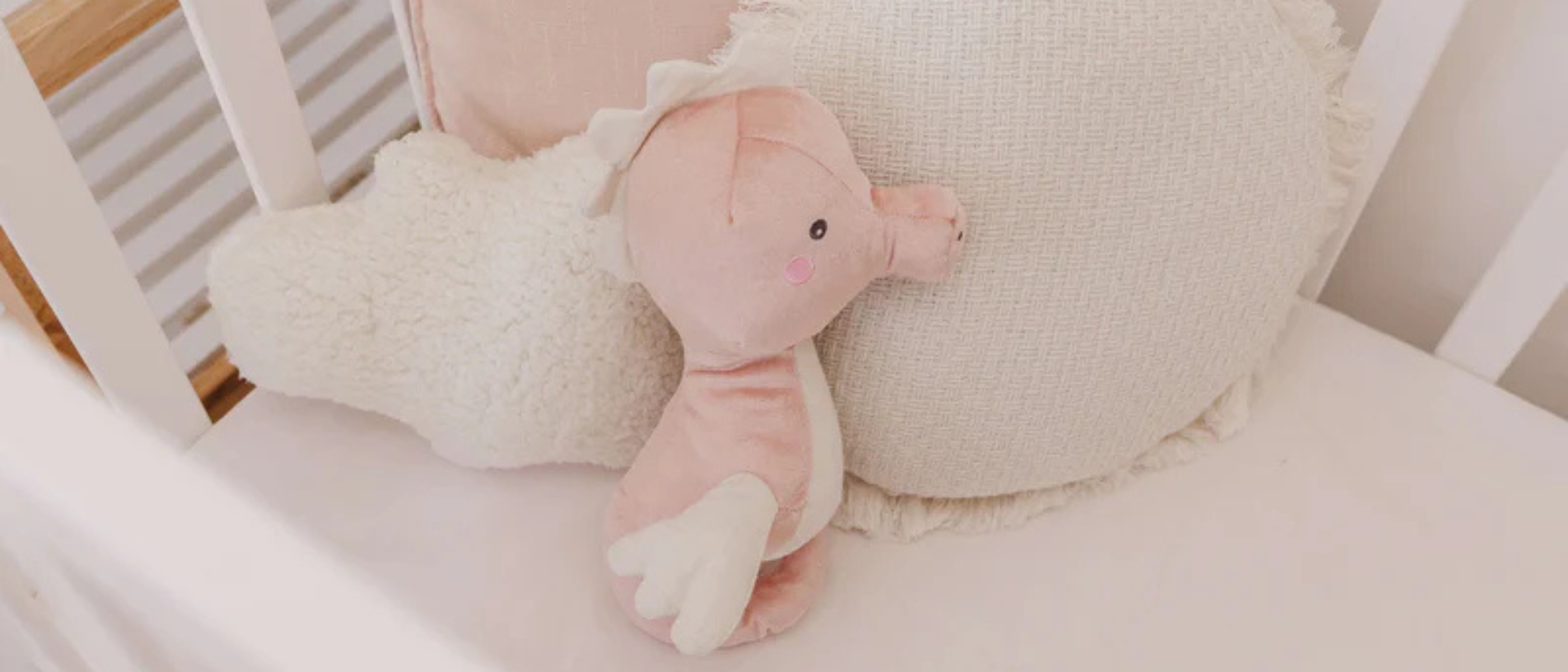 First Toys