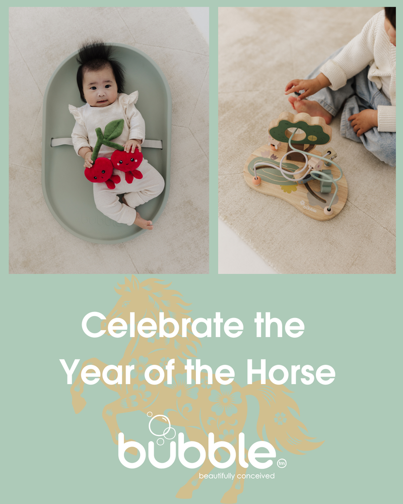 Lunar New Year Banner