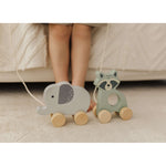 Bubble  Wooden Raccoon Pull Along Toy