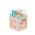 Bubble Wooden Activity Centre