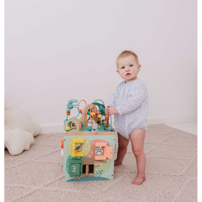 Bubble Wooden Activity Centre