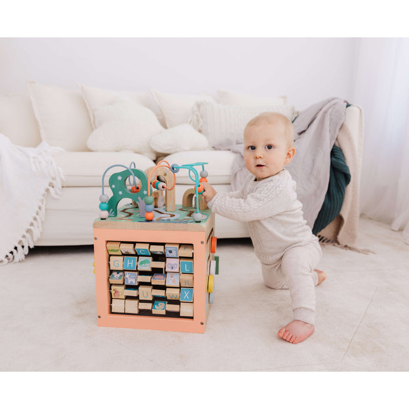 Bubble Wooden Activity Centre