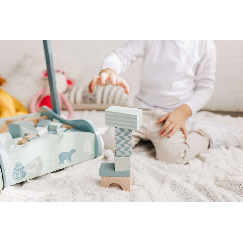 Bubble Wooden Baby Push Cart & Walker with 46 Building Blocks