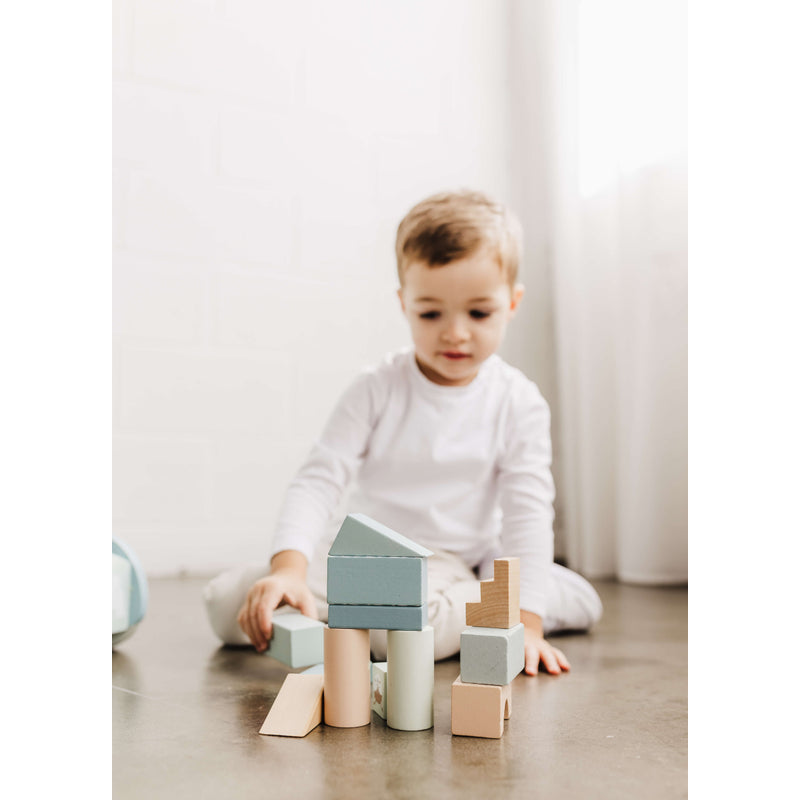 Bubble Wooden Baby Push Cart & Walker with 46 Building Blocks