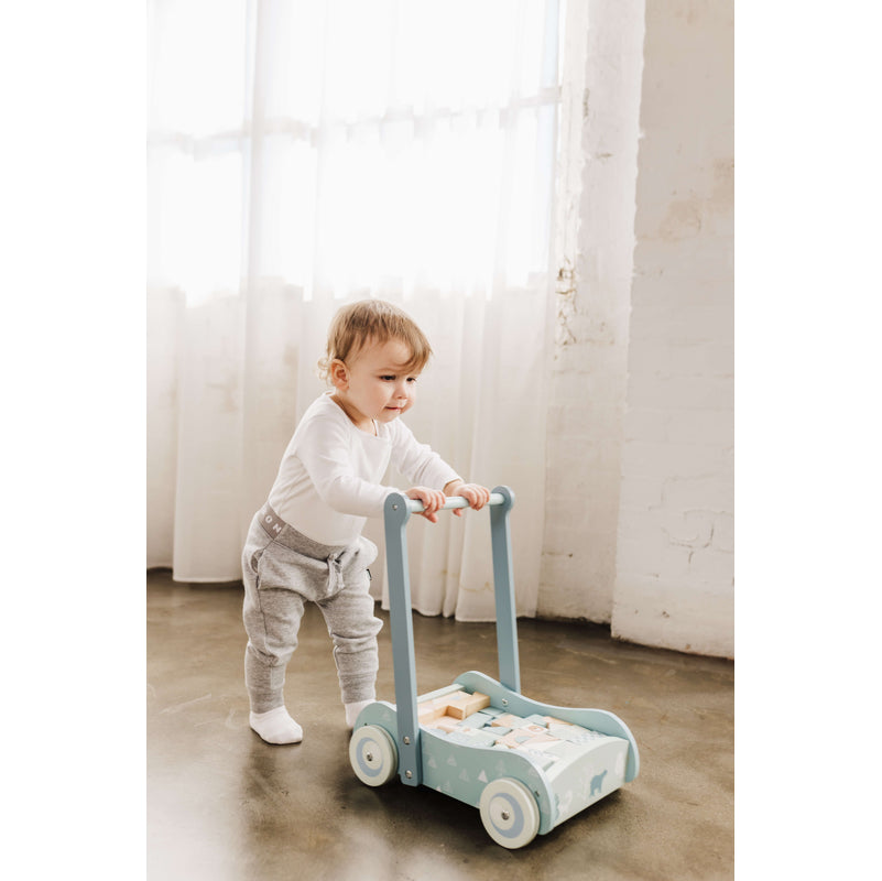 Bubble Wooden Baby Push Cart & Walker with 46 Building Blocks
