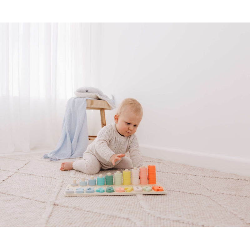 Bubble Wooden Numbers &amp; Blocks Counting Set