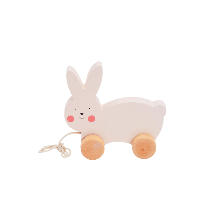 Bubble Wooden Pull Along - Rabbit
