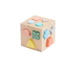 Bubble Wooden Shape Sorting Cube