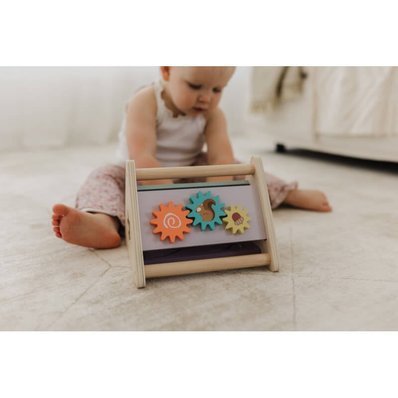 Bubble  Wooden Activity Triangle