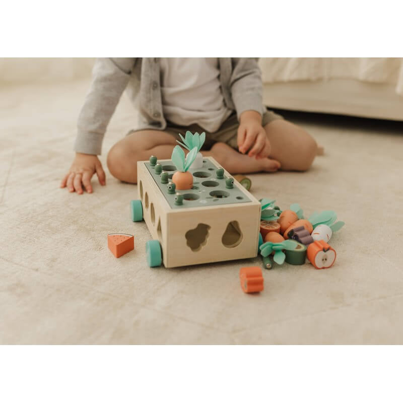 Bubble  Wooden Vegetable Garden